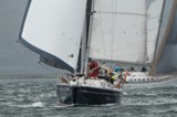 bacchus 5015c whyw23 sun 750 0027